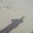 Sand